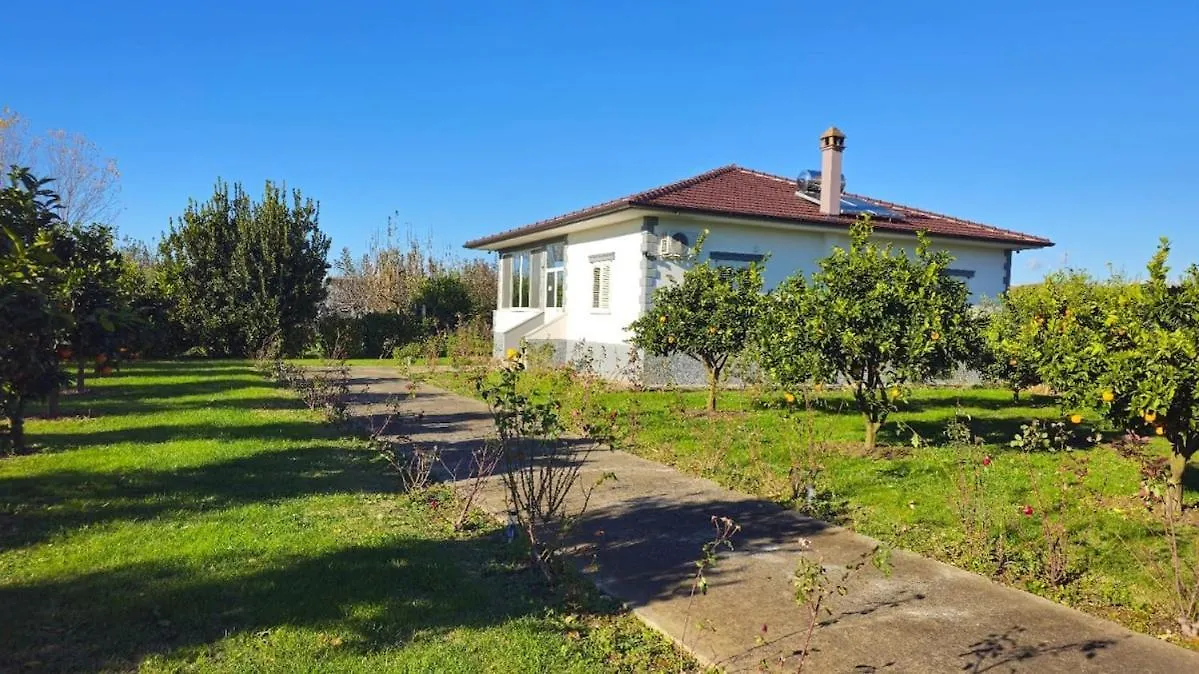 Rrozhani House Lezhe