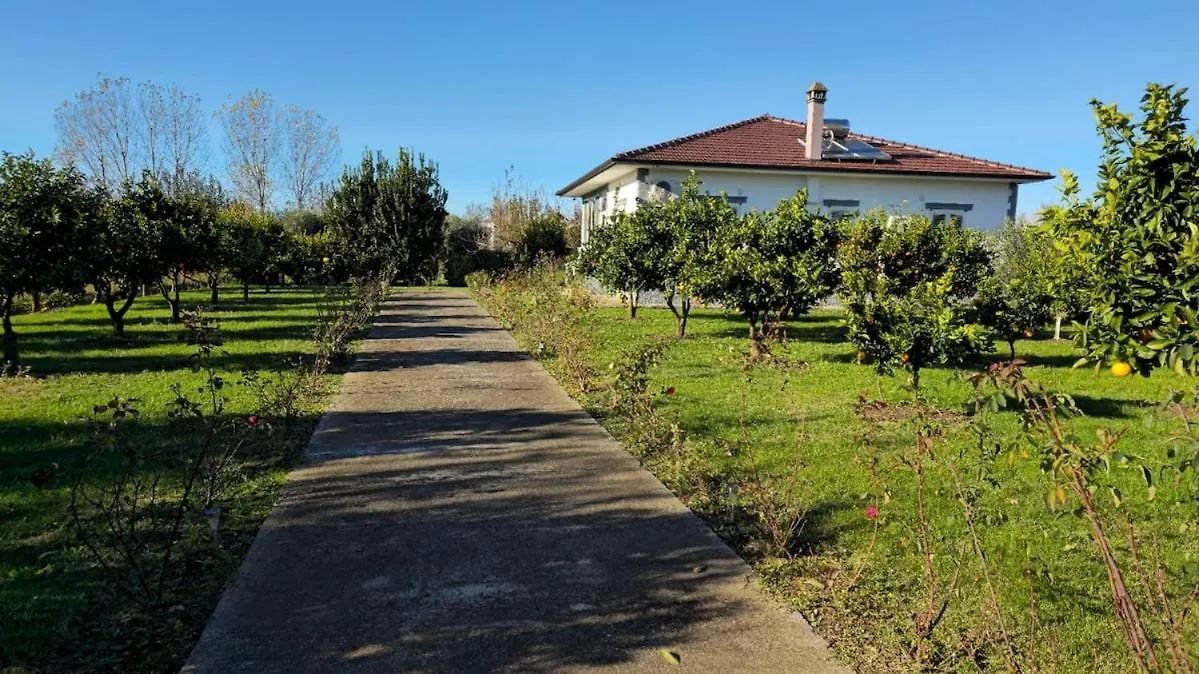 Holiday home Rrozhani House Lezhe Albania