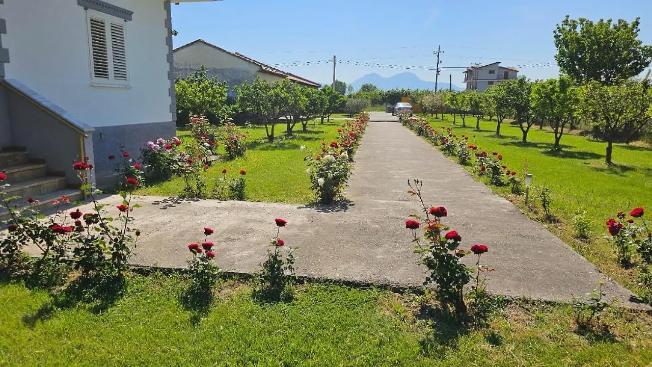 Tatil Evi Rrozhani House Lezhë